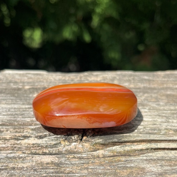Carnelian Palm - Picture 2 of 6